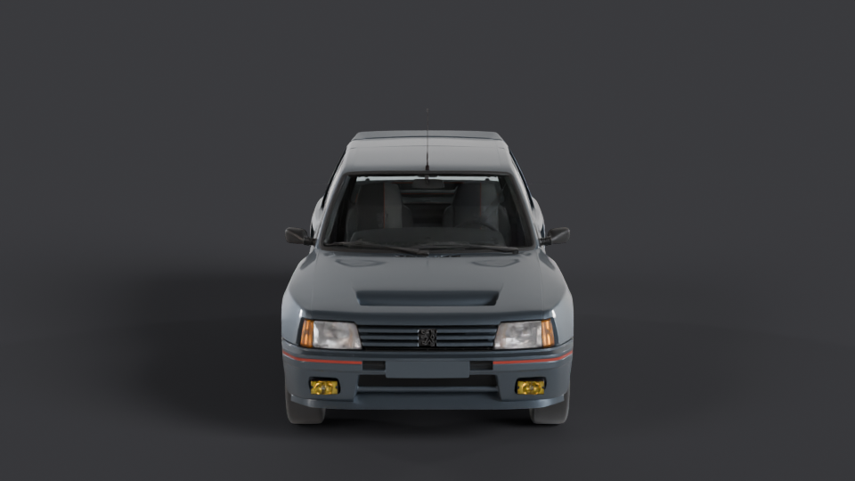 Peugeot 205 T16 en rotation